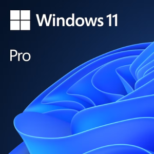 windows_11_pro_licență_electronică.png